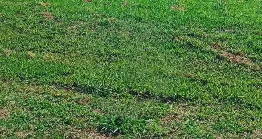 Terreno à venda, 360 m² por r$ 250.000,00 - jardim são domingos - marília/sp