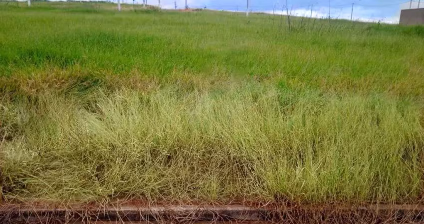 Lote plano, já quitado, pronto para construir - zona norte