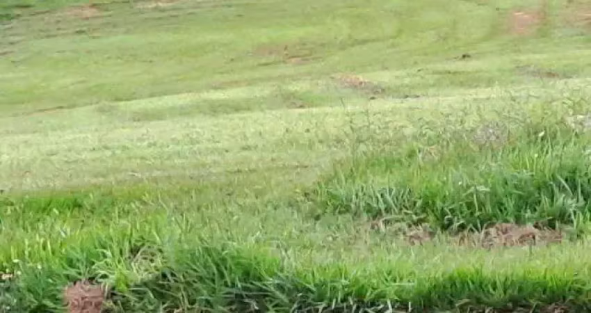 Terreno à venda, 1506 m² por r$ 450.000,00 - residencial vale verde - marília/sp