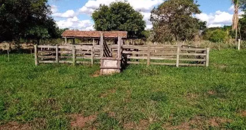Sítio com 2 dormitórios à venda, 72600 m² por r$ 1.060.000,00 - herculândia - herculândia/sp
