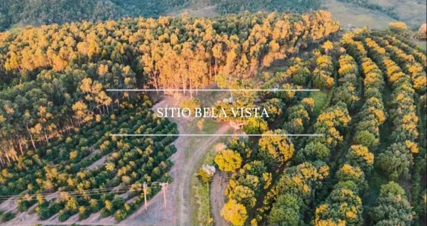 Chácara à venda, 115000 m² por r$ 1.700.000 - rural - vera cruz/sp