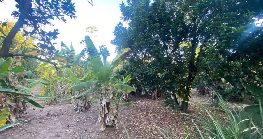 Chácara com 1 dormitório à venda, 2500 m² por r$ 250.000,00 - jardim florença - marília/sp