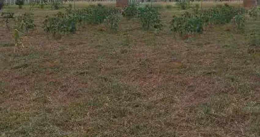 Chácara com 1 dormitório à venda, 2000 m² por r$ 250.000,00 - centro (padre nóbrega) - marília/sp