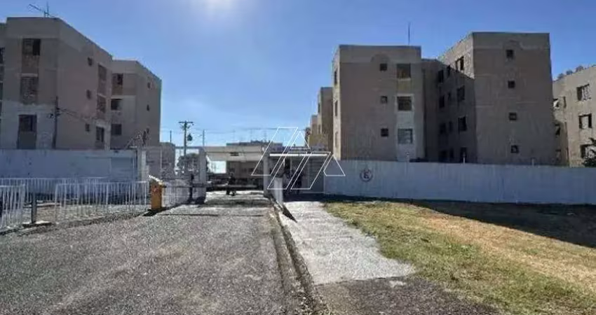 Apartamento à venda – residencial das rosas, jardim teotônio vilela – marília/sp