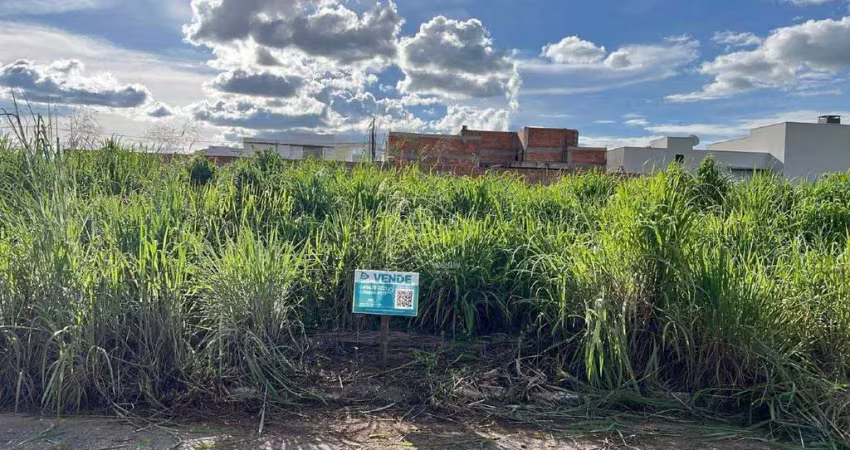 Oportunidade de comprar dois terrenos lado a lado no belvedere