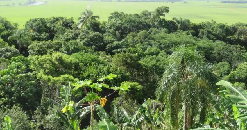Chácara / sítio com 1 quarto à venda no Sambaqui, Imbituba 