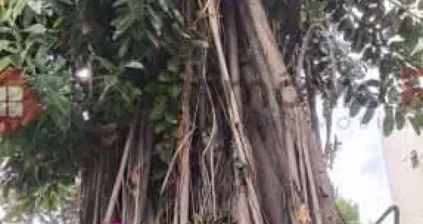 Apartamento com 2 quartos à venda na Estrada do Barro Vermelho, Rocha Miranda, Rio de Janeiro