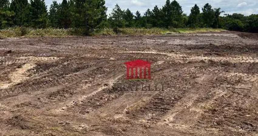Área à venda, 28507 m² por r$ 7.126.832,50 - colégio agrícola - araquari/sc