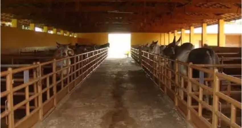 Fazenda cinematográfica com 162 alqueires no interior do estado de são paulo