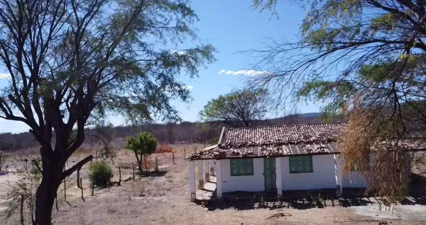 Fazenda com 2 salas à venda na Zona Rural, Barra 
