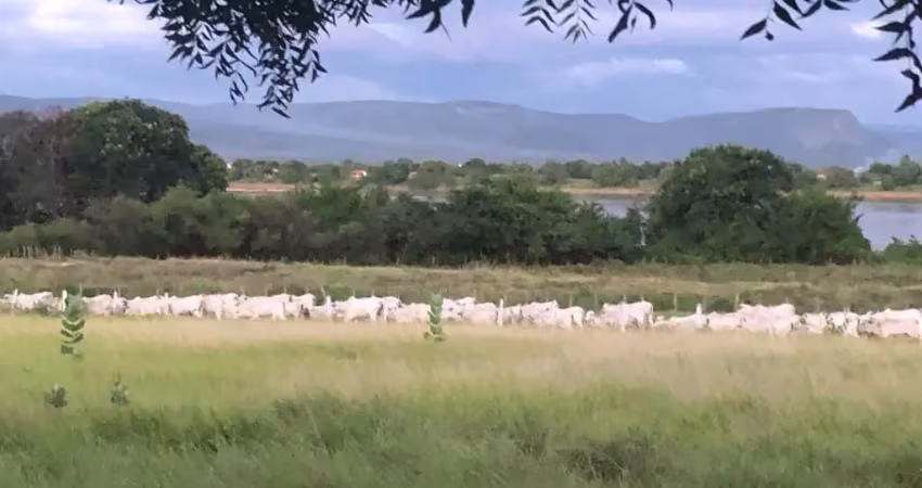 Fazenda à venda na Zona Rural, Muquém de São Francisco 