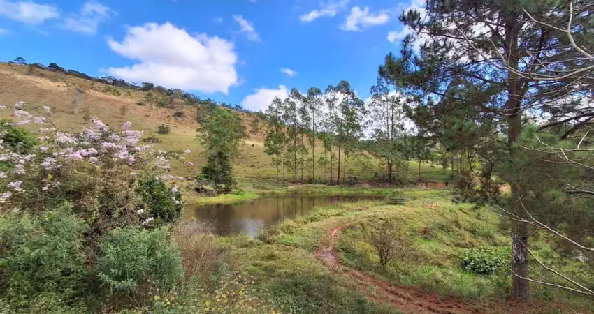 Chácara / sítio com 4 quartos à venda na Estrada da Cachoeirinha, Santa Cruz, Juiz de Fora