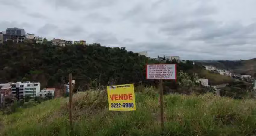 Terreno à venda na Rua Professora Verônica Lucy Coutinho Lage, Recanto da Mata, Juiz de Fora