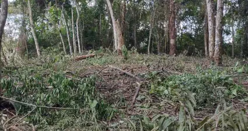 Terreno em condomínio fechado à venda na Rua Prefeito Luiz Penna, Novo Horizonte, Juiz de Fora