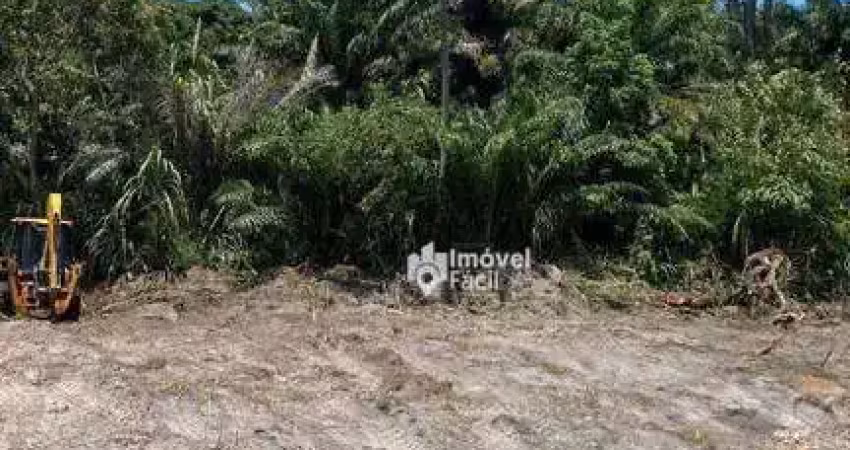Terreno à venda na Rua Nova Aliança, Monte Gordo, Camaçari