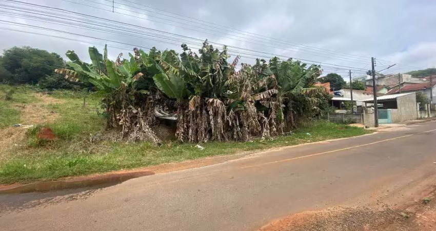 Excelentes terrenos urbanos (4 terrenos) - área vii