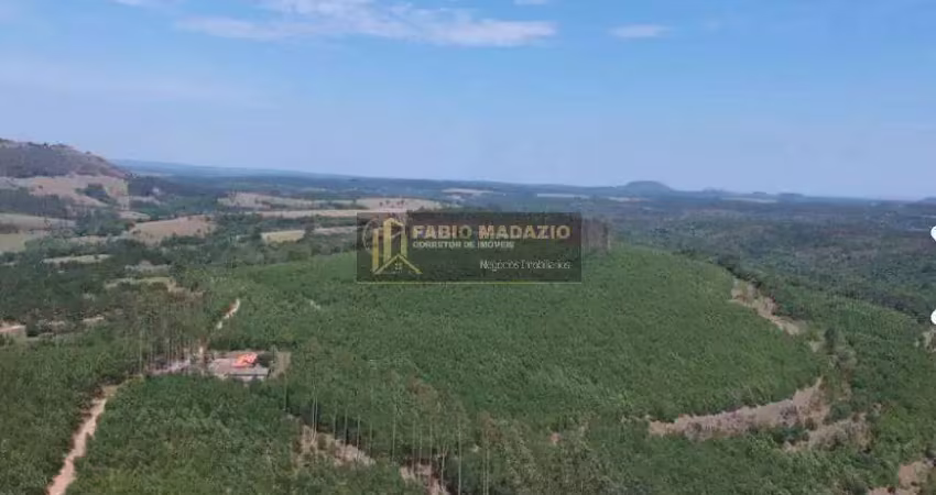 Fazenda à venda na Área Rural de Itapetininga, Itapetininga 