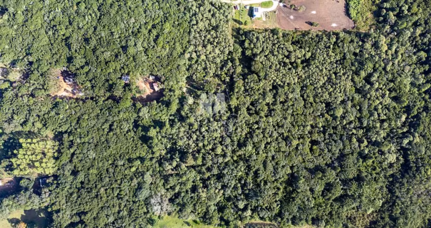 Terreno rural com 28.300m² em campina grande do sul