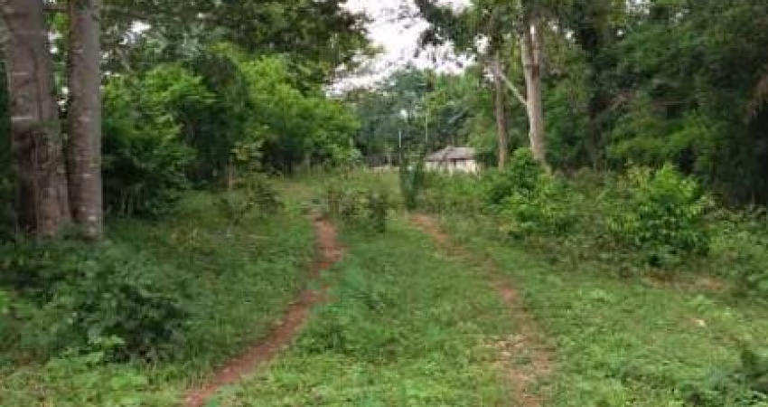 fazendinha de 170 hectares há 65 km da cidade de Nova Xavantina
