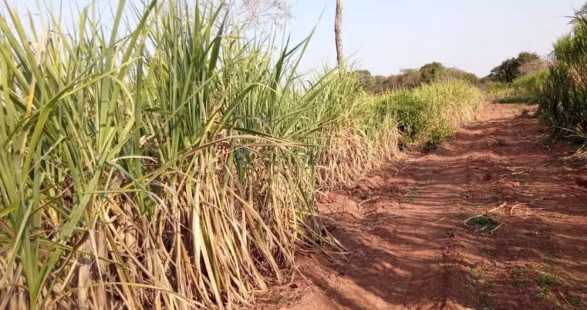 Sítio de 32 hectares no assentamento comunidade sadia 3
