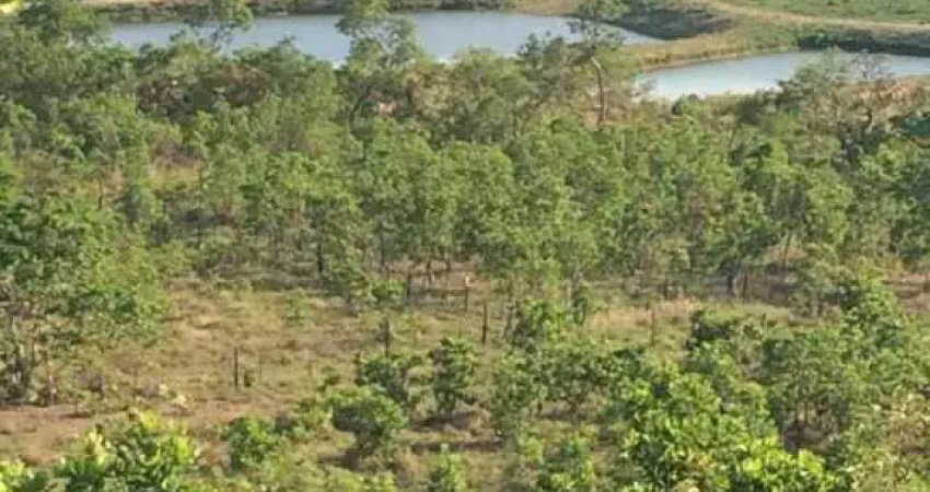 EXCELENTE FAZENDA A 20 KM DE CUIABA