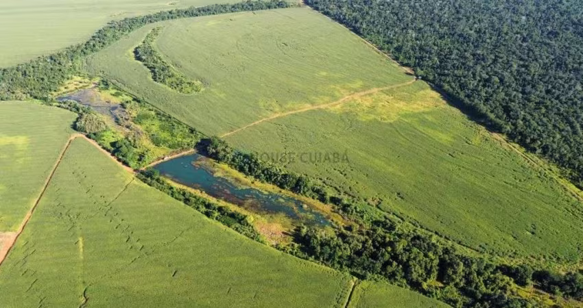 FAZENDA A VENDA NO MUNICíPIO DE BRASNORTE.  MATO GROSSO
