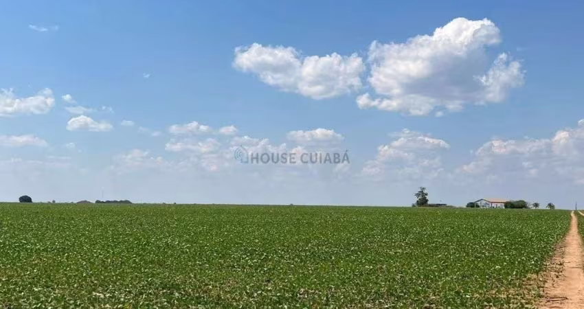 Área Rural Município de Vera MT