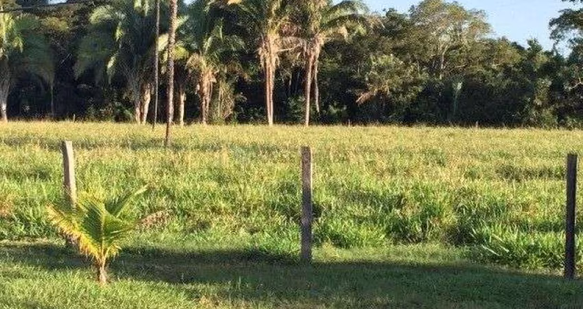 Fazenda à venda na pertinho de Cuiabá MT, 3223, Porto de Fora, Santo Antônio do Leverger