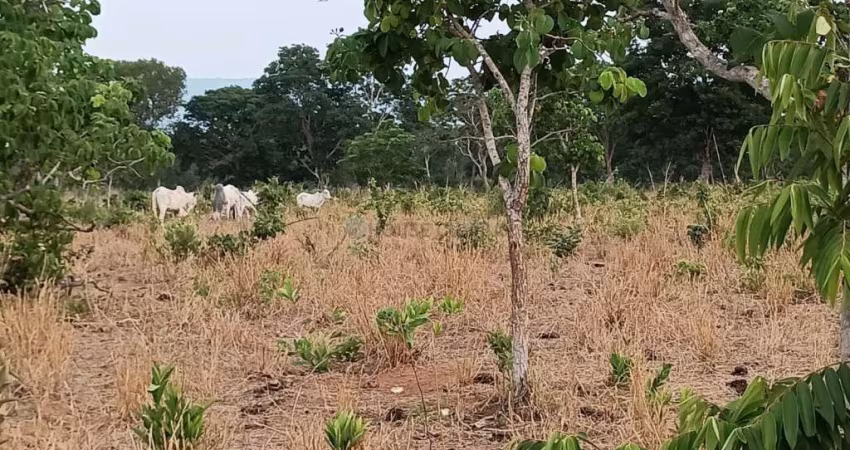 Sitio com 46 hectares com 20 cabeças de gado.