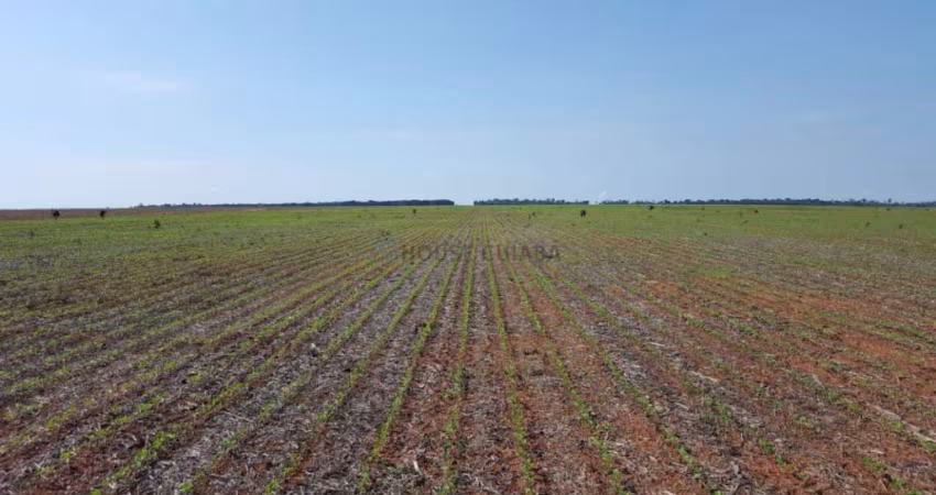 Oportunidade Fazenda em Gaucha do Norte-MT