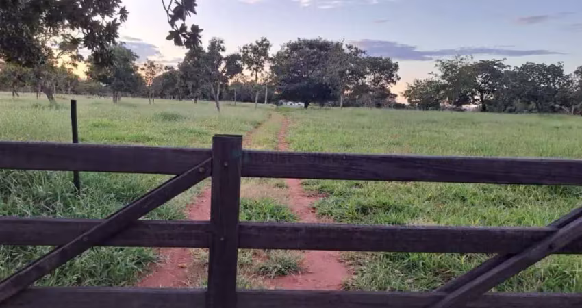 Excelente Fazenda na região de Amorinópolis