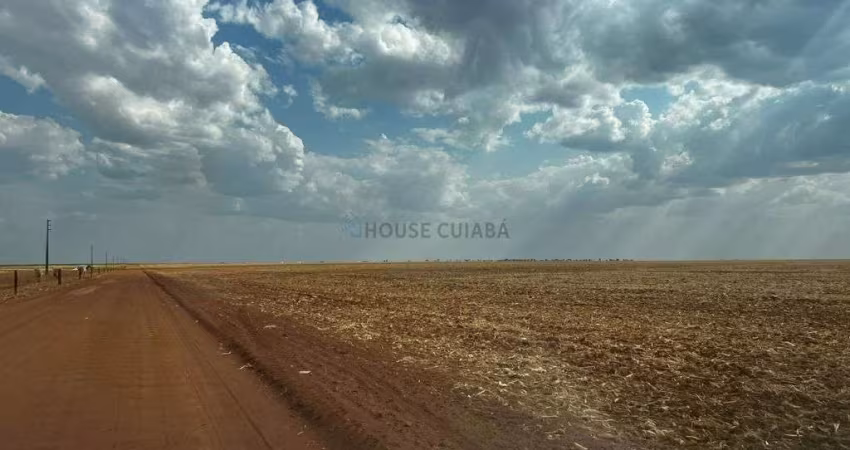 Oportunidade Fazenda Nova Xavantina- MT