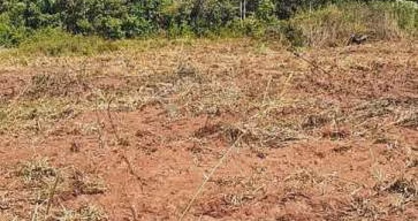 Oportunidade de Investimento Fazenda Barra do Bugres