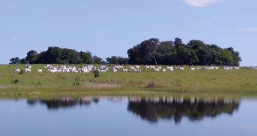 Excelente Fazenda MUNICIPIO DE CRIXAS GOIAS