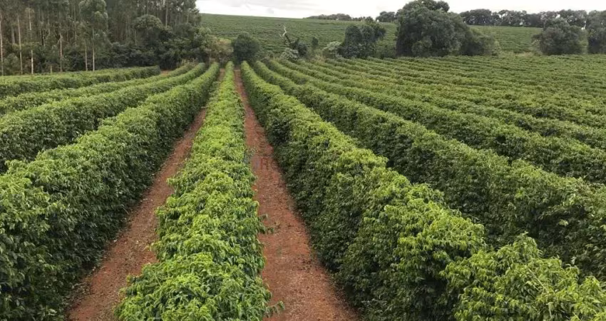 EXCELENTE FAZENDA DE CAFÉ A VENDA EM MINAS GERAIS - TRIÂNGULO MINEIRO