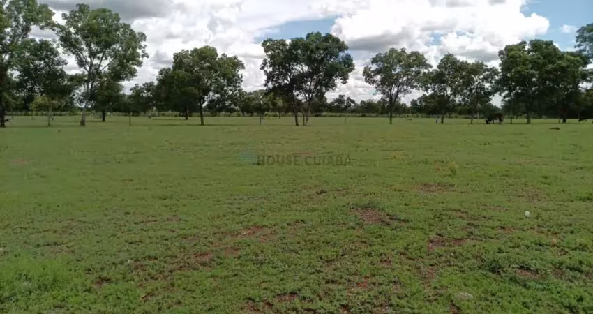 Fazenda dupla aptidão com 243 hectares na região da terra vermelha 4 km do distr
