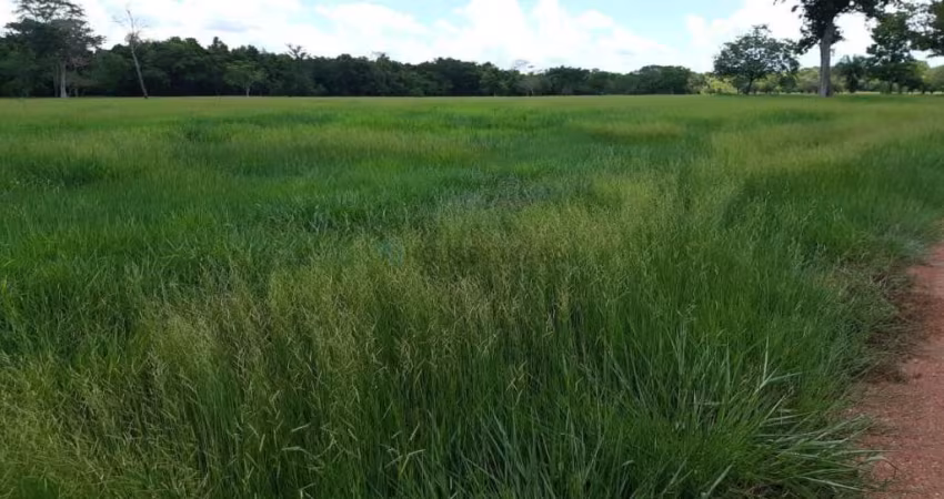 SITIO A VENDA REGIAO OLHO D,AGUA SAIDA RONDONOPOLIS