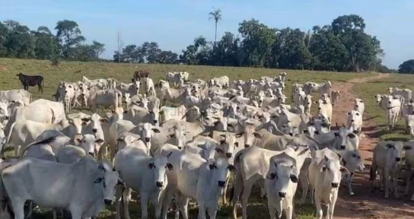 Fazenda a venda proximo de cuiaba saida p/ rondonopolis