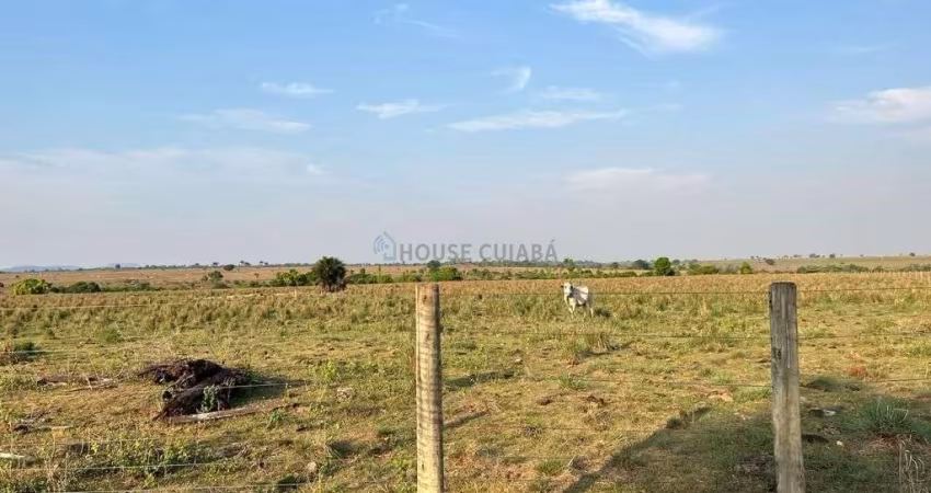 FAZENDA A VENDA EM VILA RICA-MT COM 12.900 HECTARES