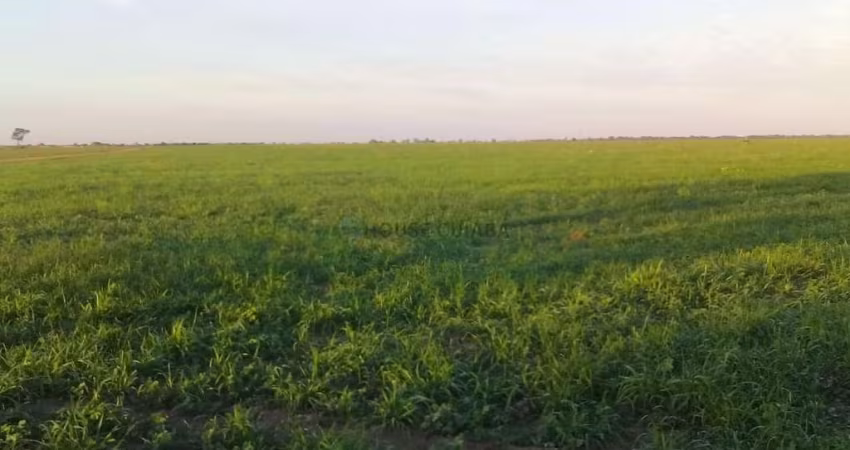 fazenda Entre Serra Nova Dourada e São Félix Araguaia MT