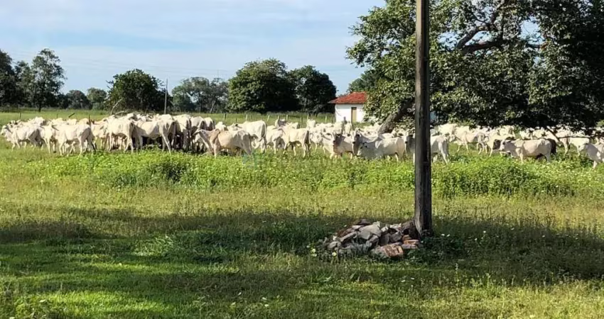 fazenda na região de Aruanã no estado de Goiás
