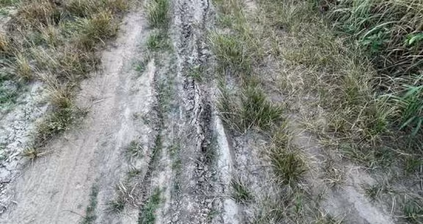 fazenda de 506 alqueires de 4,84 área toda plana, plantando há 6 anos 710 hectar