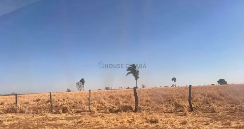 Fazenda no município de são miguel do araguaia goiás