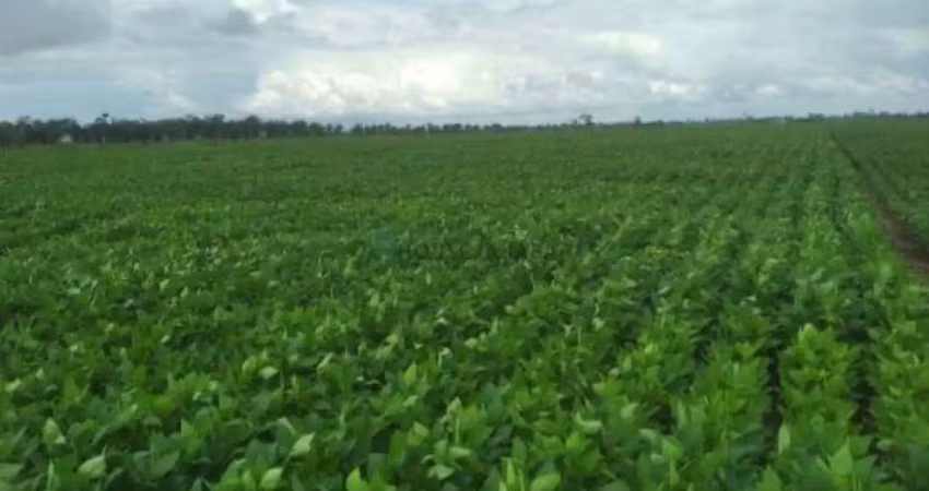 Área rural agrícola de 5 mil hectares na região do aporé go