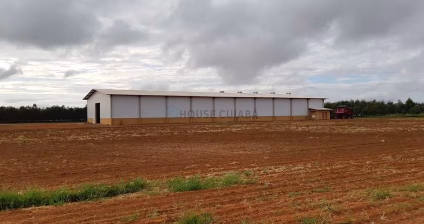 fazenda com área de 12 mil hectares com 8.600 hectares em lavoura