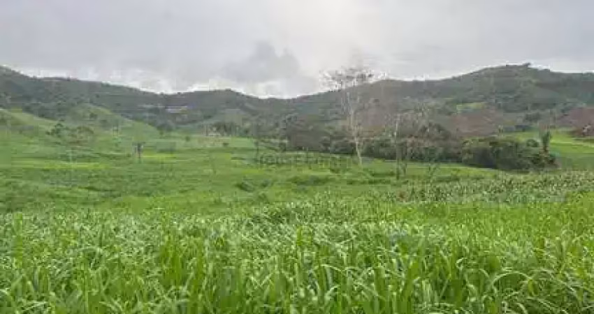 Área de terra de 247 alqueires com excelente localização na região da cidade de