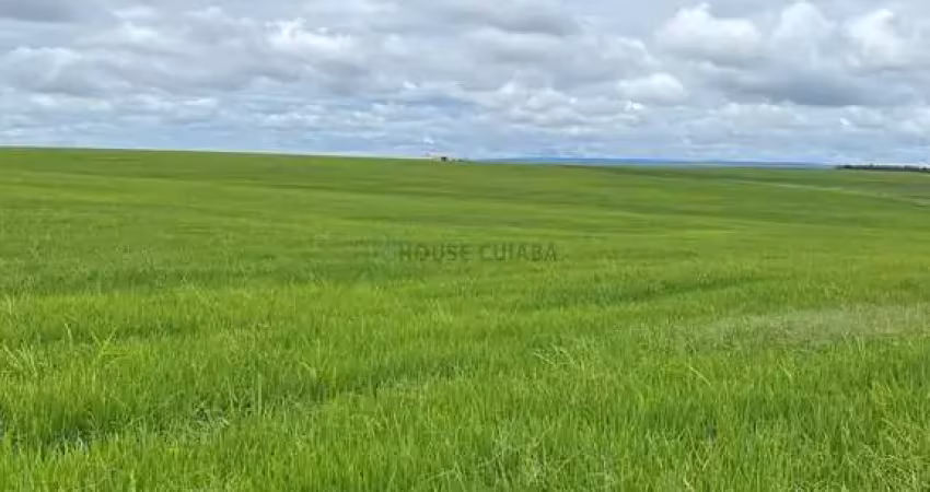 Fazenda de 968 hectares na região do município de cristalina goiás