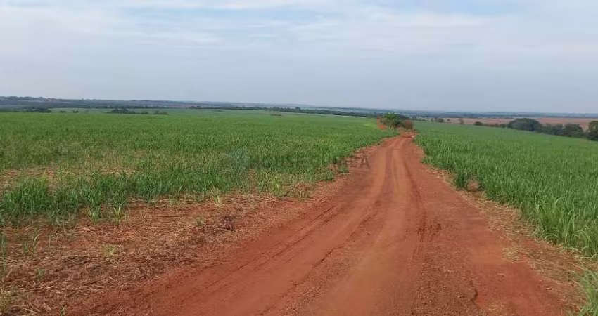 fazenda de 150 alqueires (360 hectares), com 100 alqueres plantado de cana em Ub