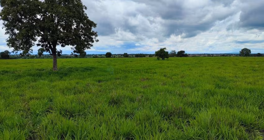 fazenda com dupla aptidão no Município a cidade de Araguapaz no estado de Goias
