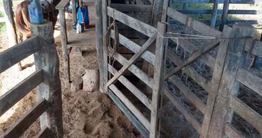 Fazenda de 2.243 hectares na região da cidade de Tesouro MT